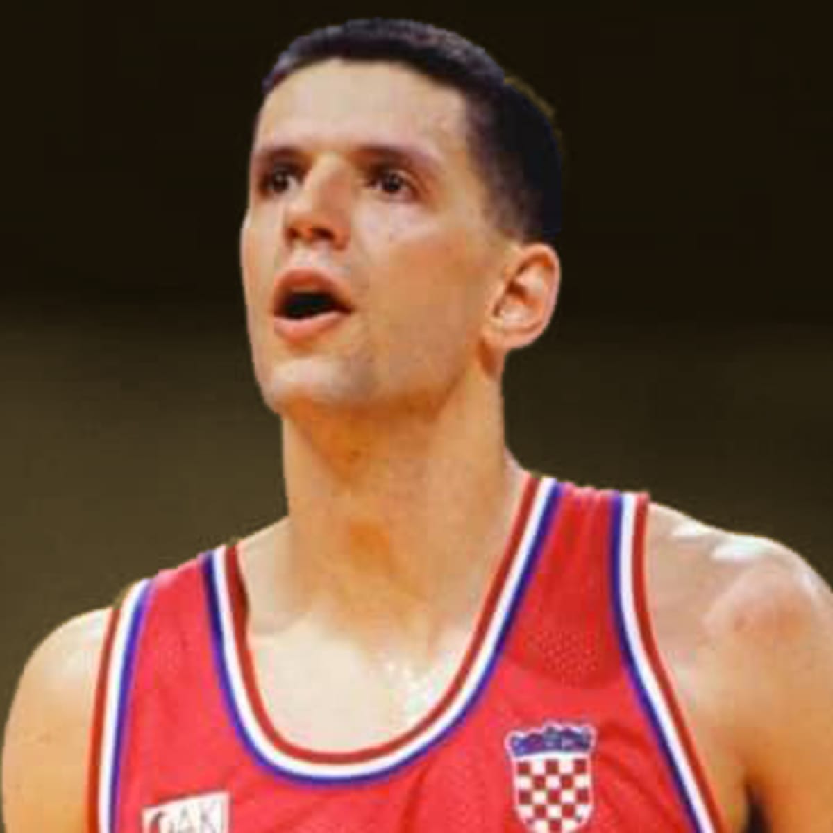 Drazen Petrovic - Trivia, Family, Bio