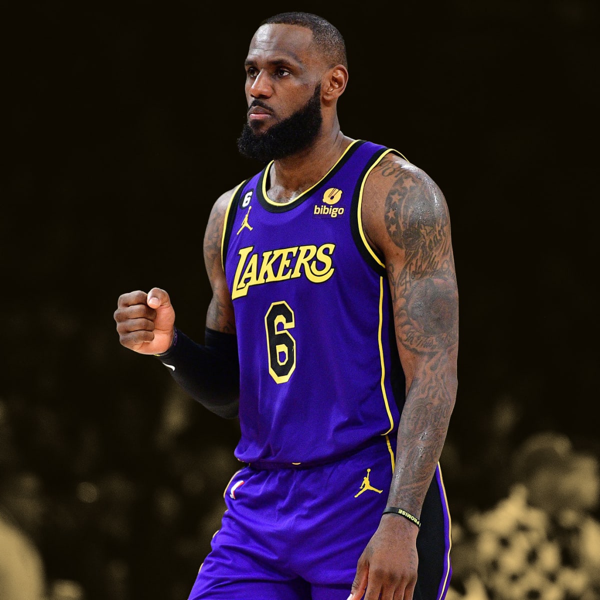 lebron james purple
