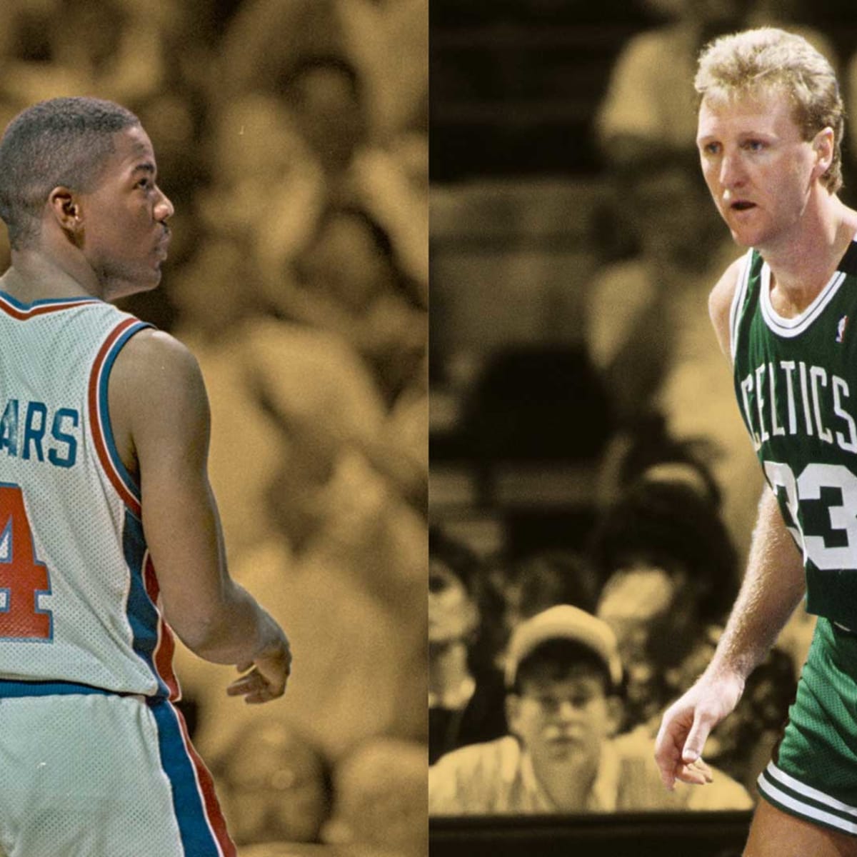 larry bird shorts