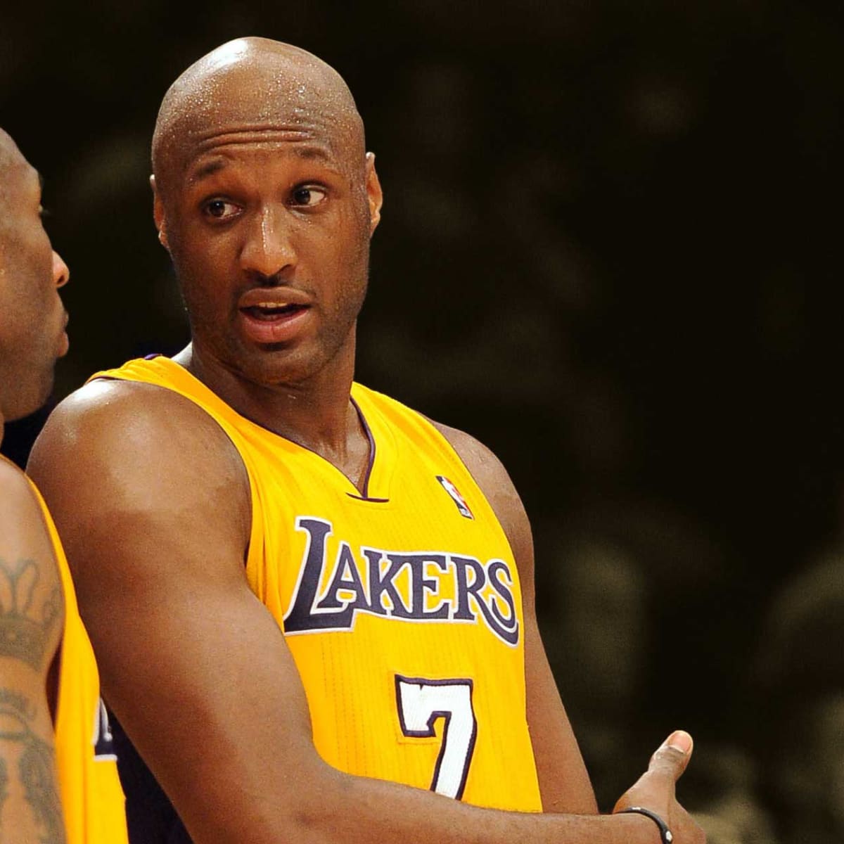 lamar odom stats