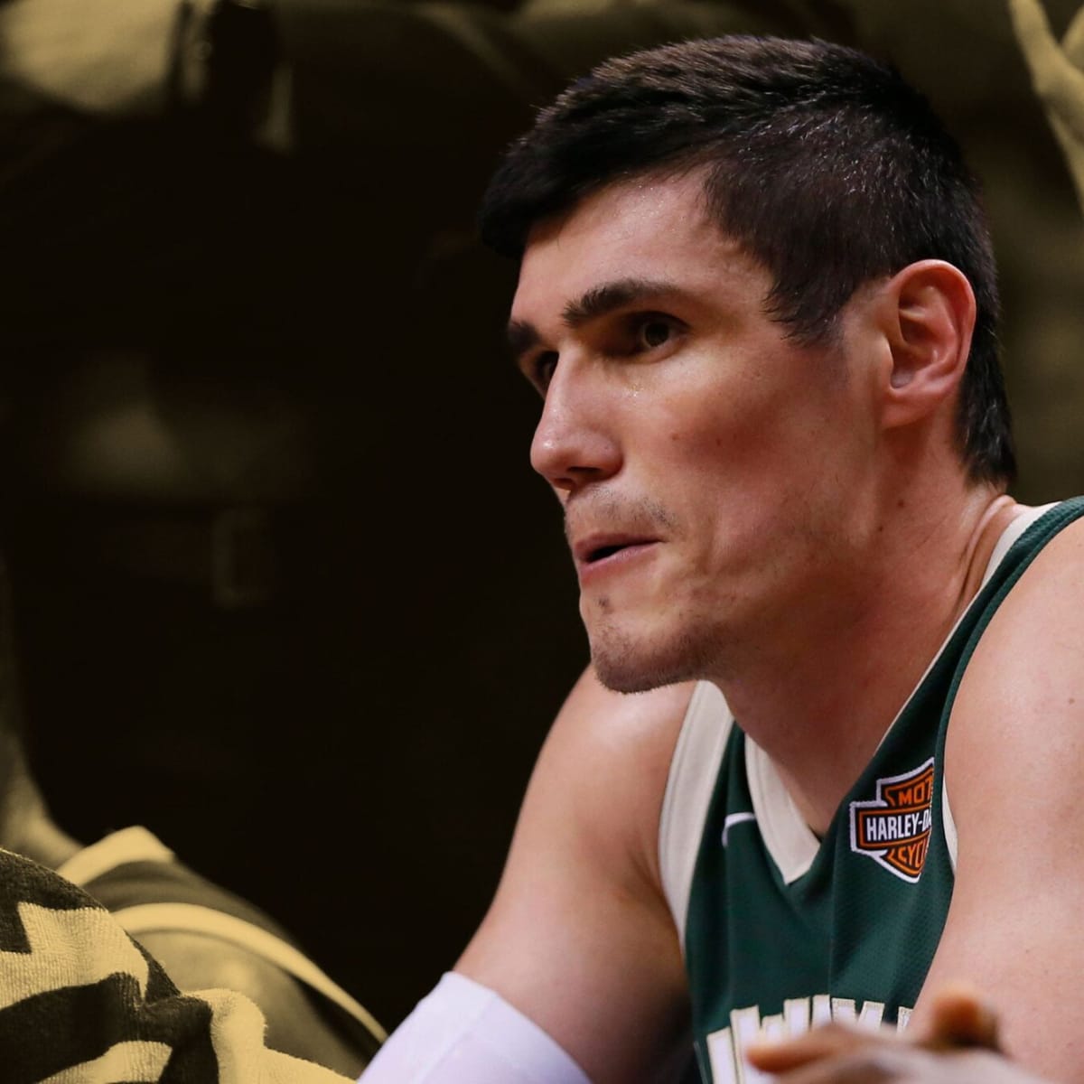 Ersan ilyasova discount