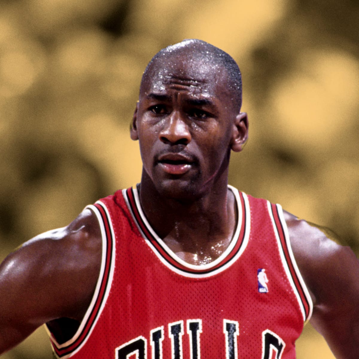 Michael Jordan renounced the best player in the world title in 95