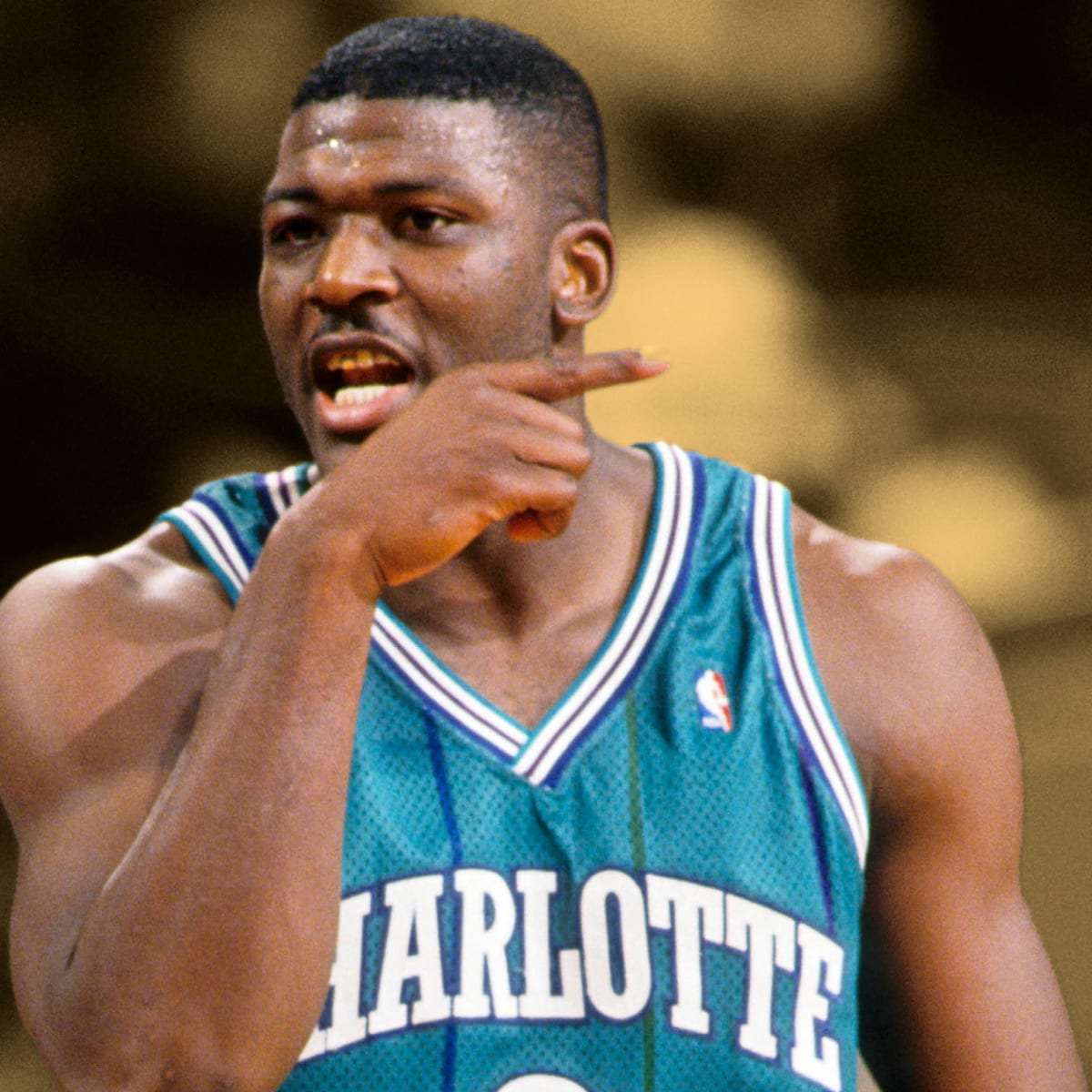 Larry johnson best sale nba