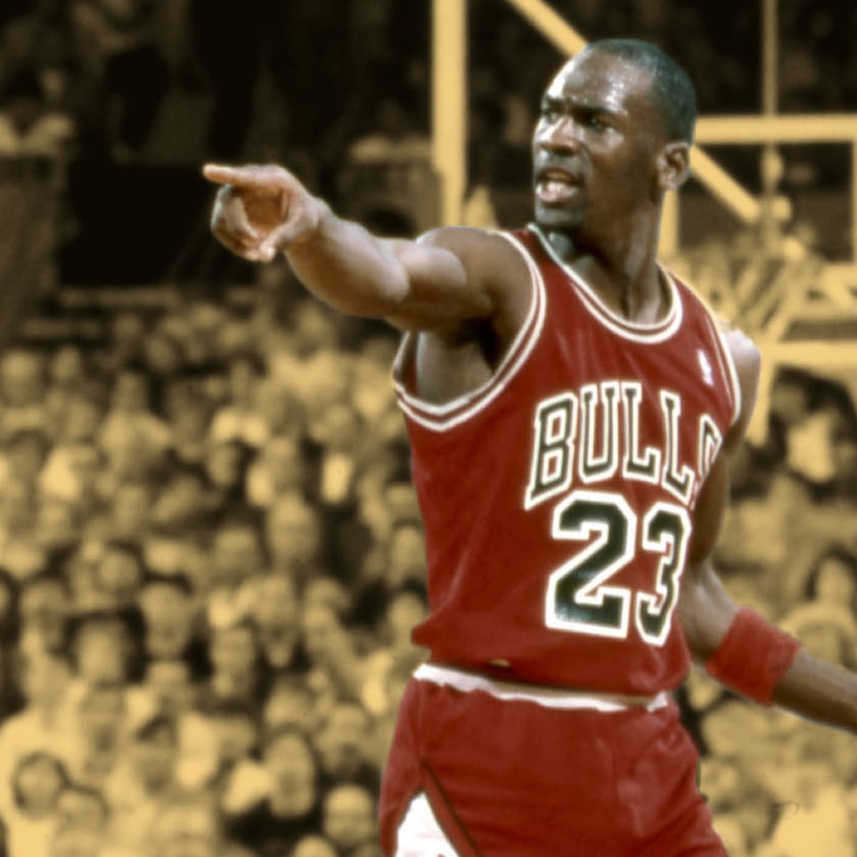 Michael jordan 1991 finals store