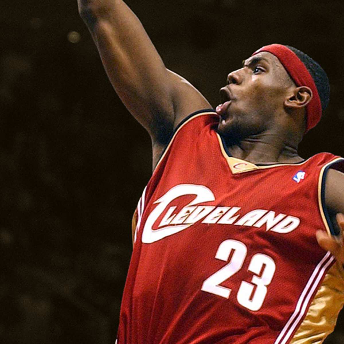 Lebron james 2004 top