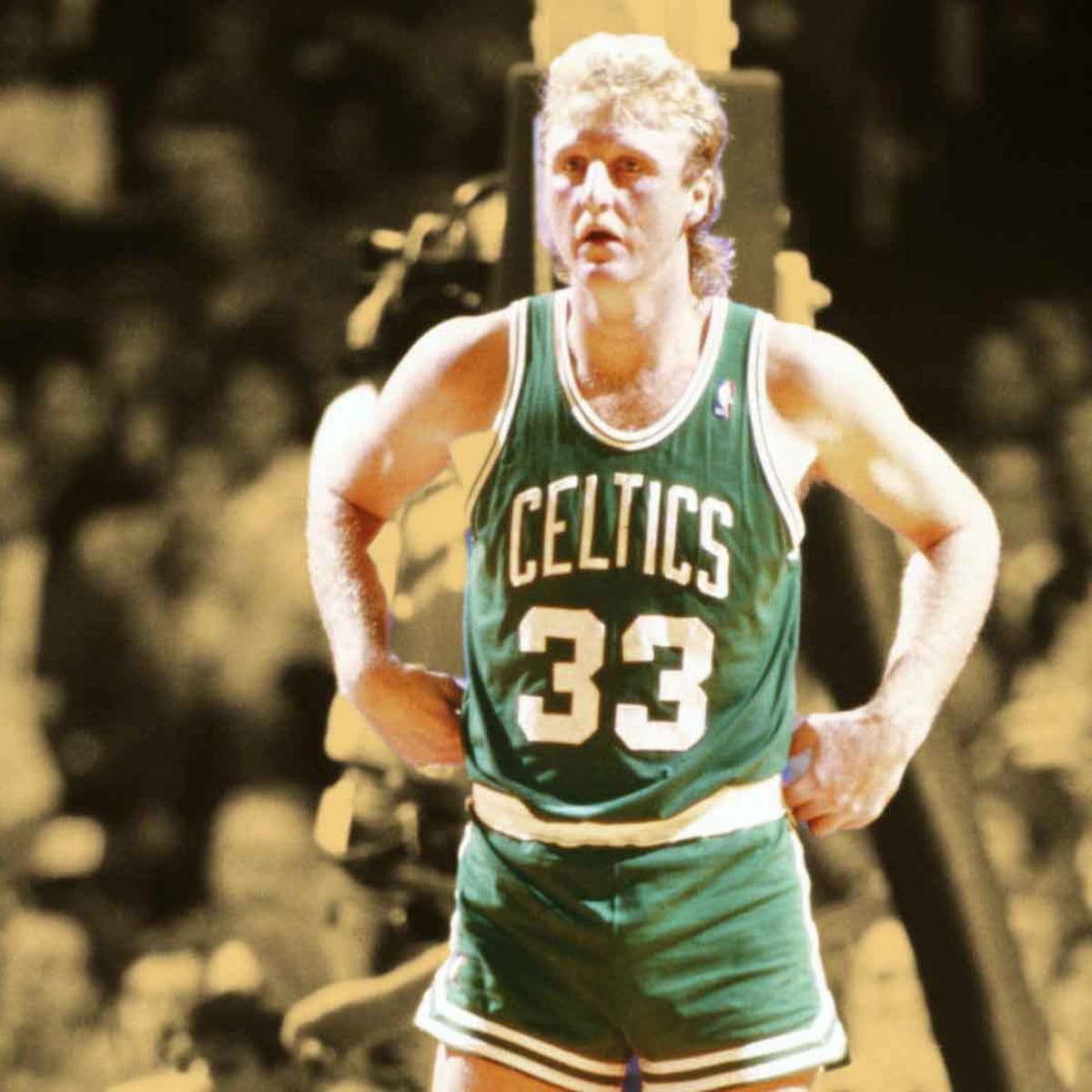Larry store bird jersey