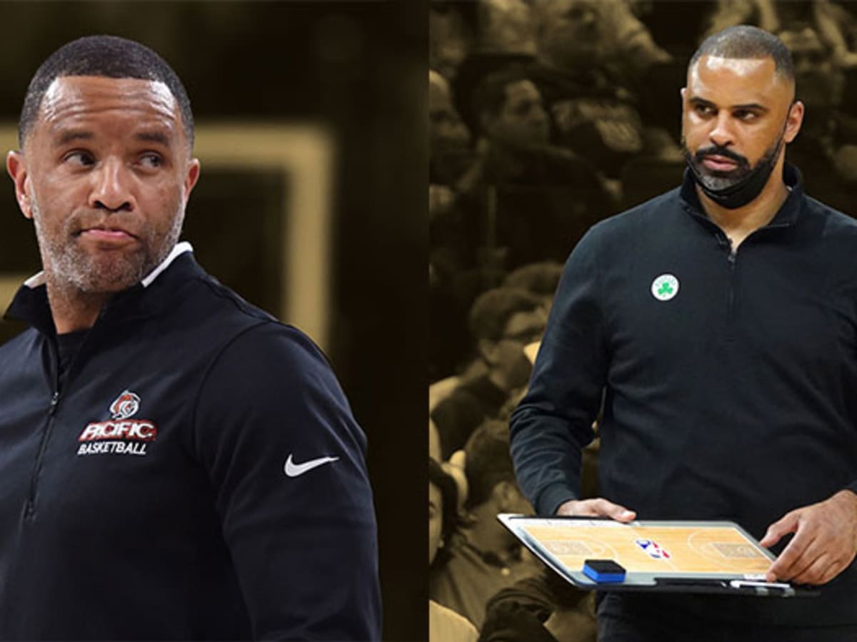 damon stoudamire celtics