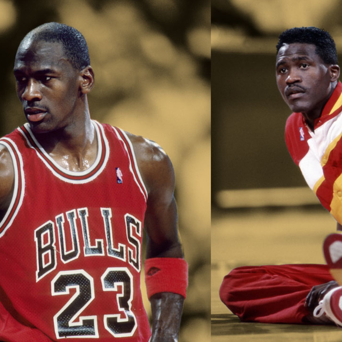 jordan dominique wilkins