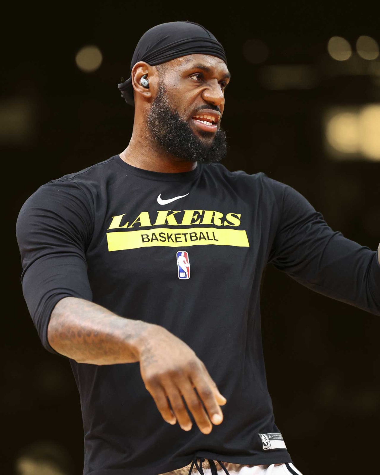 lebron james basketball