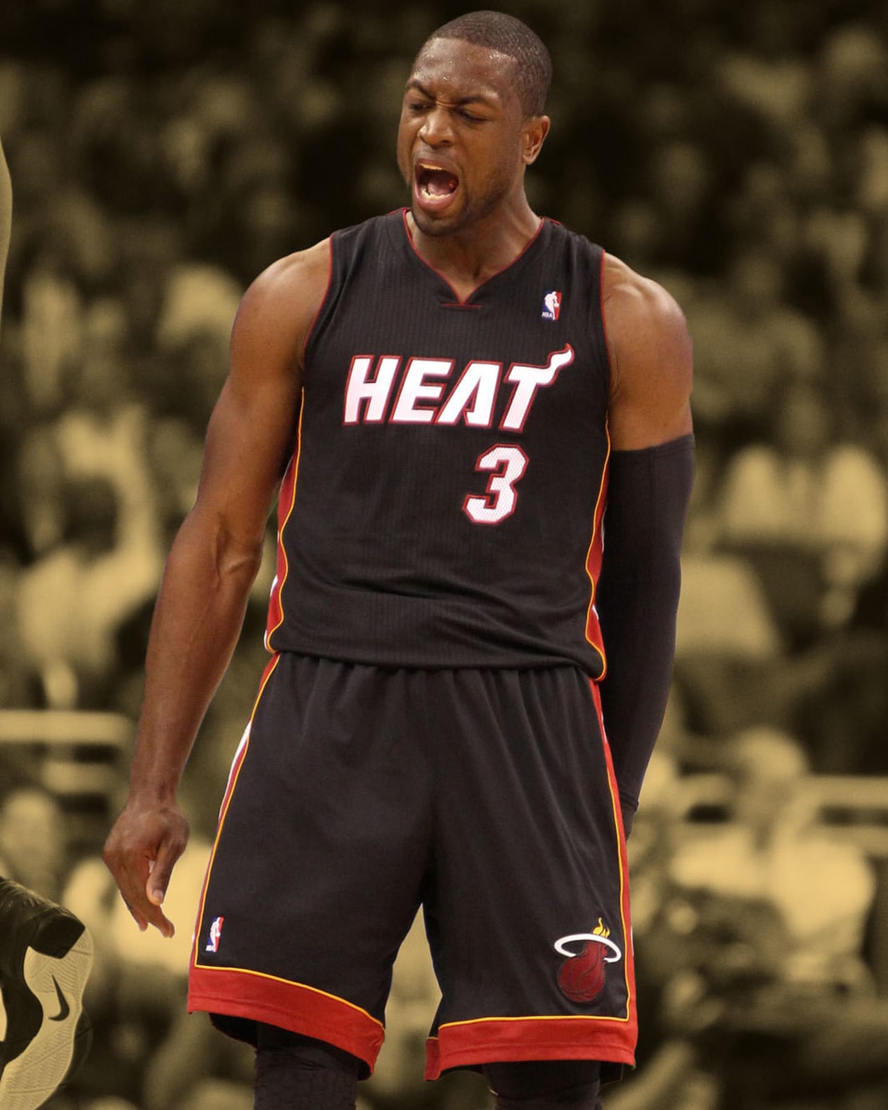 Dwyane Wade 2011 Finals Stats