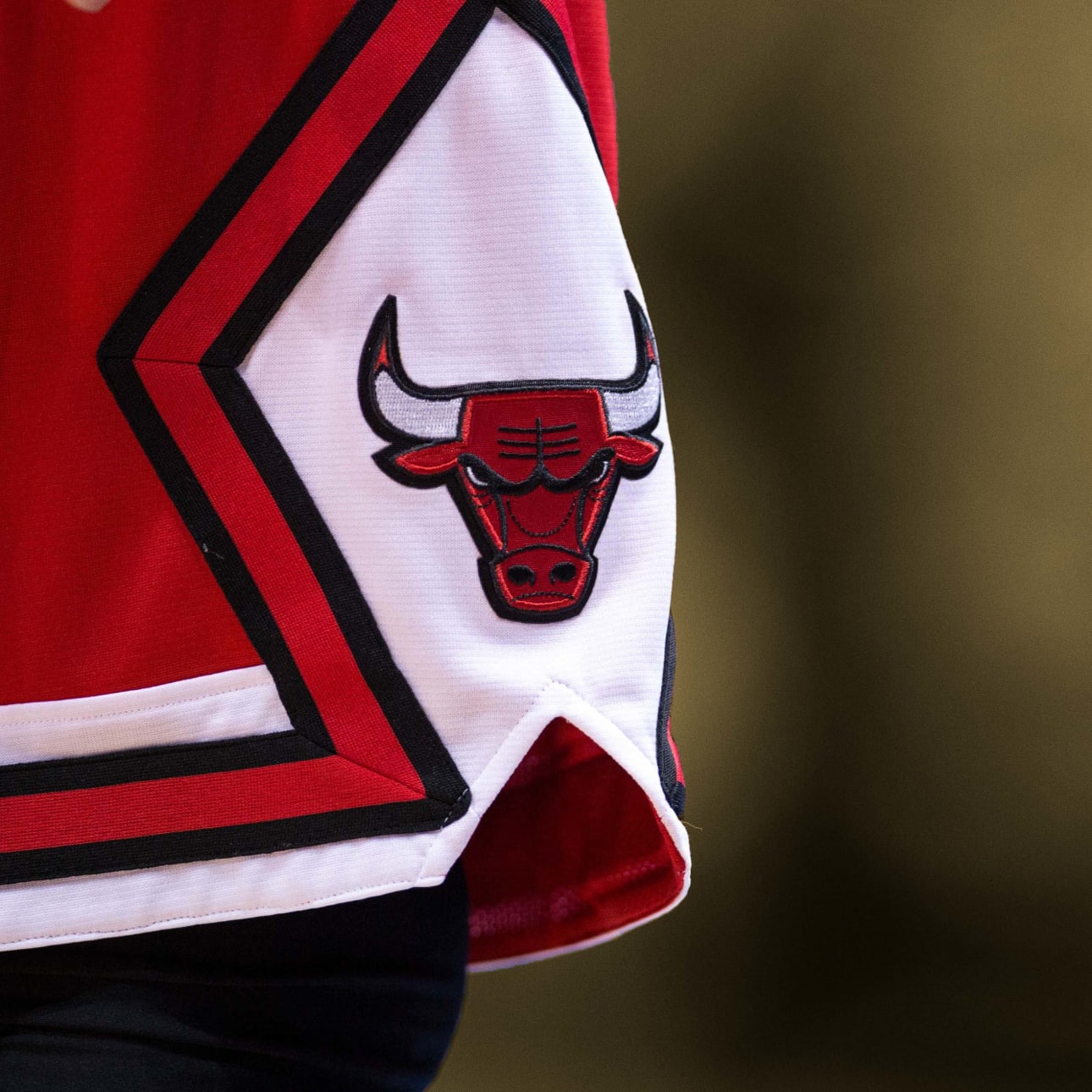 Bulls