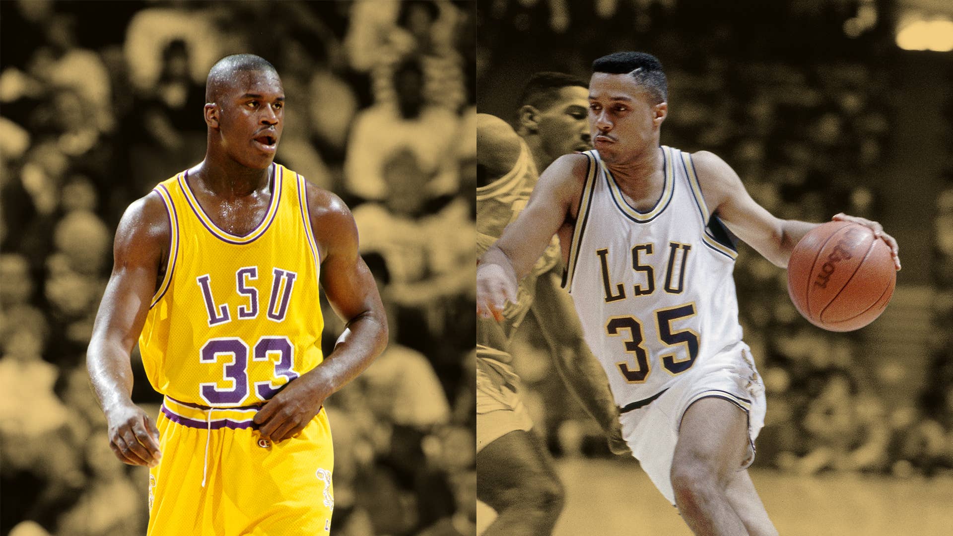 Mahmoud Abdul-Rauf - Basketball Network